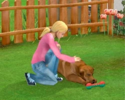 Happy Tails: Animal Shelter Screenshots