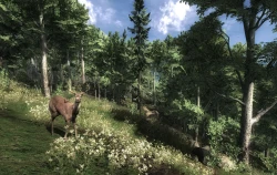 The Hunter Screenshots