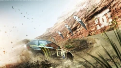 Скриншот к игре Colin McRae: DiRT 2