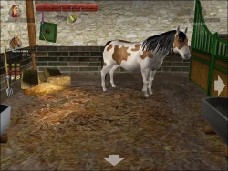 Pferd & Pony: Lass uns reiten 2 Screenshots