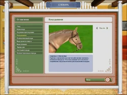 Pferd & Pony: Lass uns reiten 2 Screenshots