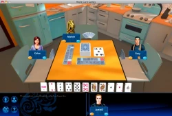 Hoyle Card Games (2009) Screenshots