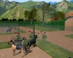 My Animal Shelter Screenshots