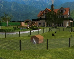 My Animal Shelter Screenshots
