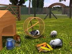 My Animal Shelter Screenshots