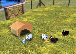 My Animal Shelter Screenshots