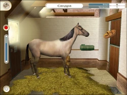 Pippa Funnell: The Stud Farm Inheritance Screenshots