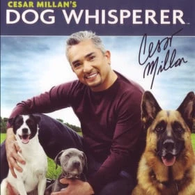 Cesar Millan's Dog Whisperer