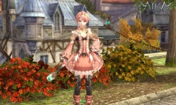 Скриншот к игре AIKA Online