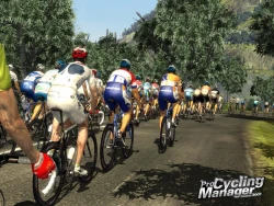 Pro Cycling Manager Season 2009 Screenshots
