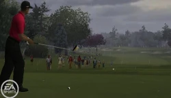 Скриншот к игре Tiger Woods PGA Tour 10