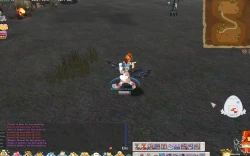Скриншот к игре Seal Online
