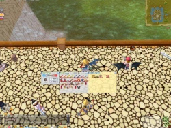 Скриншот к игре Seal Online