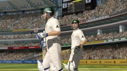 Скриншот к игре Ashes Cricket 2009