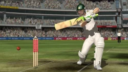 Скриншот к игре Ashes Cricket 2009