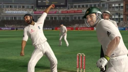 Скриншот к игре Ashes Cricket 2009