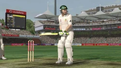 Ashes Cricket 2009 Screenshots