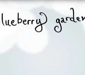 Blueberry Garden