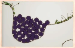 Blueberry Garden Screenshots