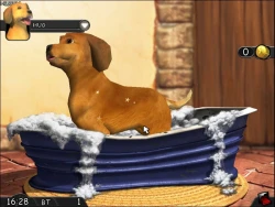 My Best Friends. Cats & Dogs Screenshots