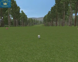 Скриншот к игре CustomPlay Golf 2010