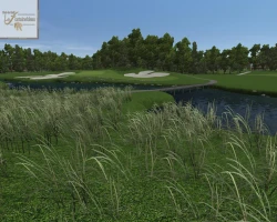 Скриншот к игре CustomPlay Golf 2010