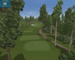 Скриншот к игре CustomPlay Golf 2010