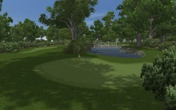 Скриншот к игре CustomPlay Golf 2010