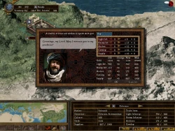 Скриншот к игре Strength & Honour 2