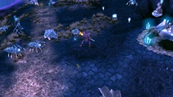 Скриншот к игре Sacred 2: Ice & Blood