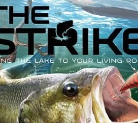 Strike, The (2009)