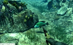 Spearfishing Screenshots