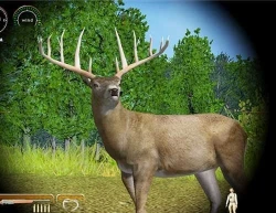 Скриншот к игре Hunting Unlimited 2010