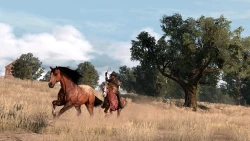 Скриншот к игре Red Dead Redemption