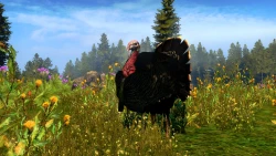 Cabela's Outdoor Adventures Screenshots