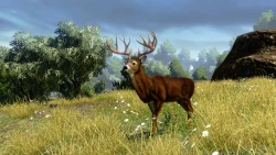 Cabela's Outdoor Adventures Screenshots