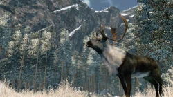 Cabela's Outdoor Adventures Screenshots