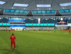 Скриншот к игре Cricket Revolution