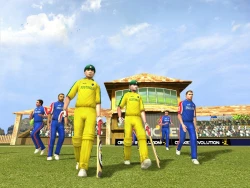 Скриншот к игре Cricket Revolution