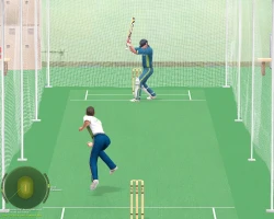 Скриншот к игре Cricket Revolution