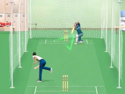 Скриншот к игре Cricket Revolution