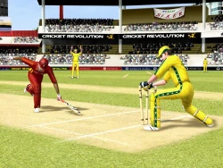 Скриншот к игре Cricket Revolution