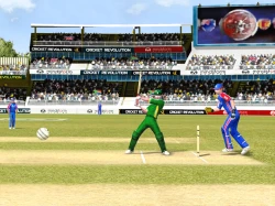 Скриншот к игре Cricket Revolution
