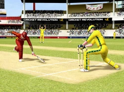Cricket Revolution Screenshots