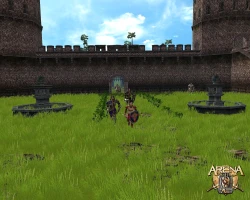 Скриншот к игре ARENA Online