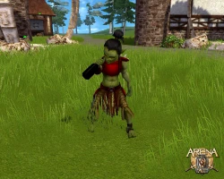 Скриншот к игре ARENA Online