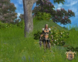 Скриншот к игре ARENA Online