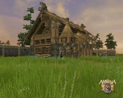 Скриншот к игре ARENA Online