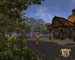 Скриншот к игре ARENA Online