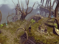 Скриншот к игре Dragon Nest